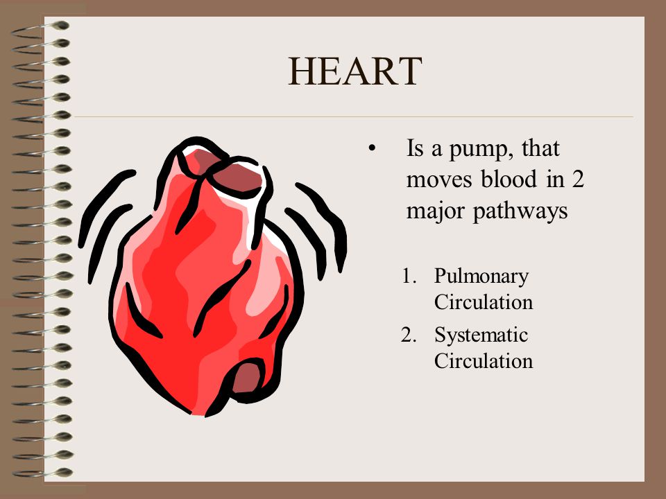 HEART Is a pump, that moves blood in 2 major pathways