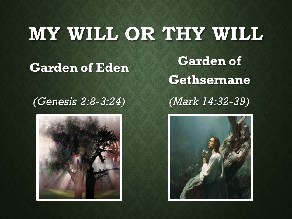 My Will or Thy Will Garden of Gethsemane Garden of Eden