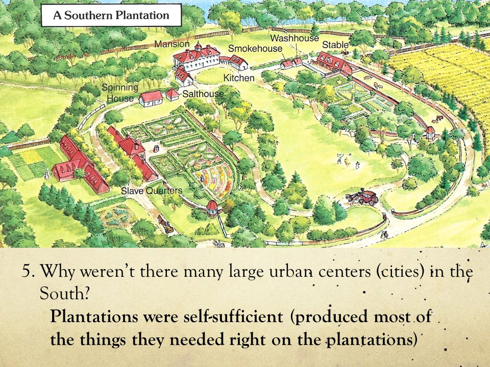 southern plantations