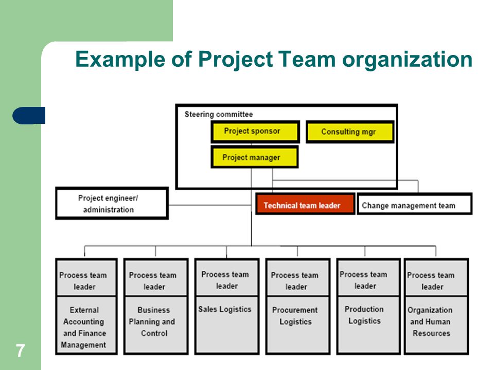 Example of Project Team organization