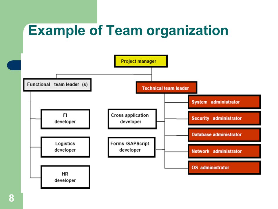 Example of Team organization