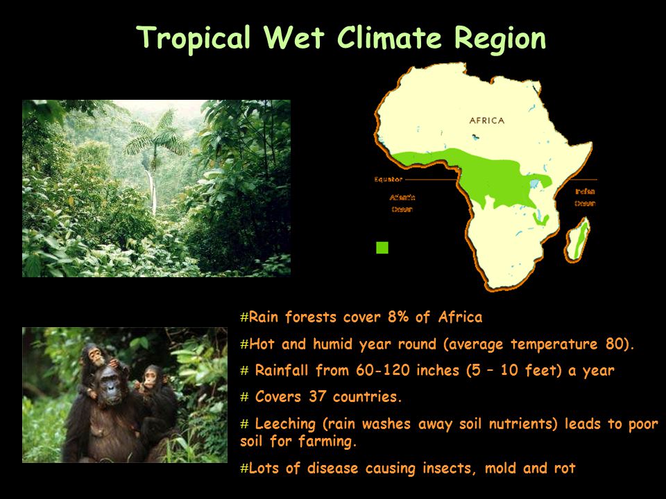 Tropical Wet Climate Region