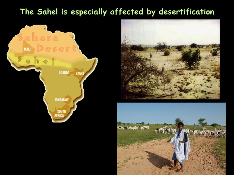 The Sahel is especially affected by desertification