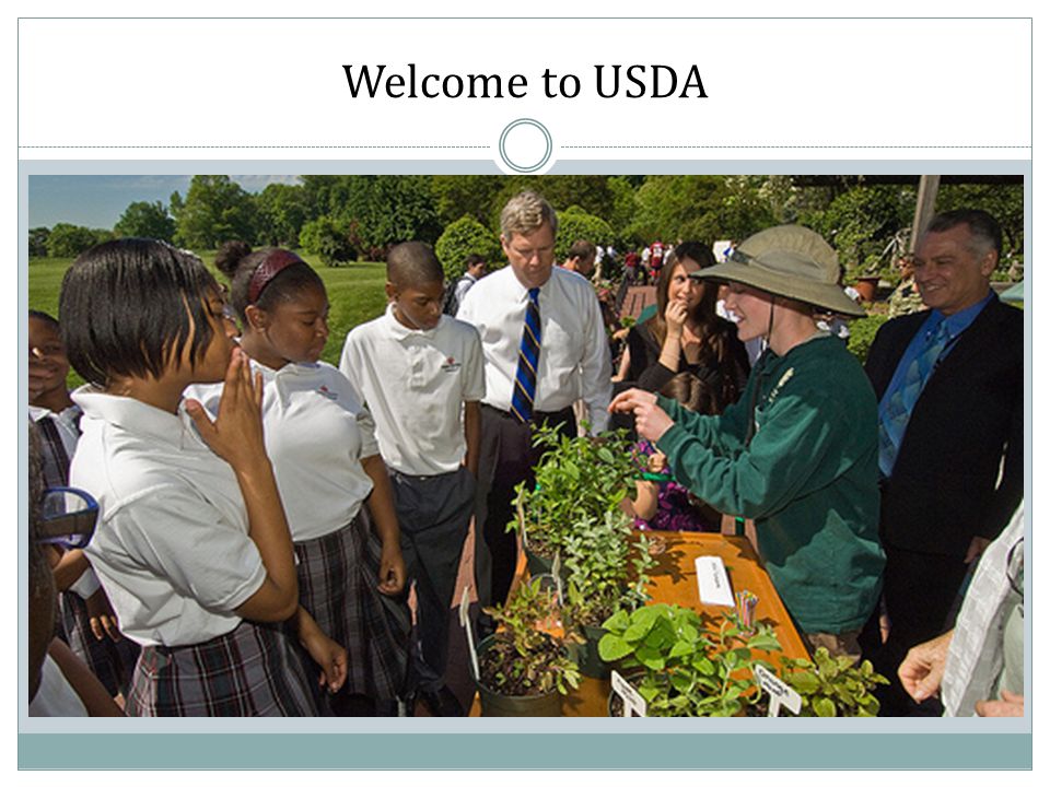 Welcome to USDA