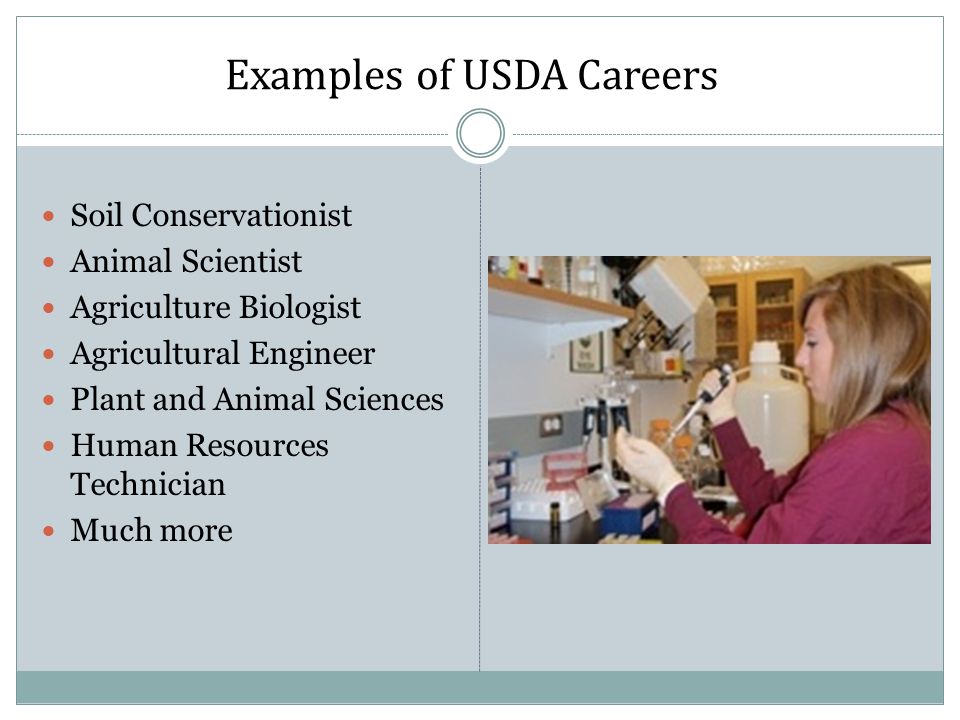 Examples of USDA Careers