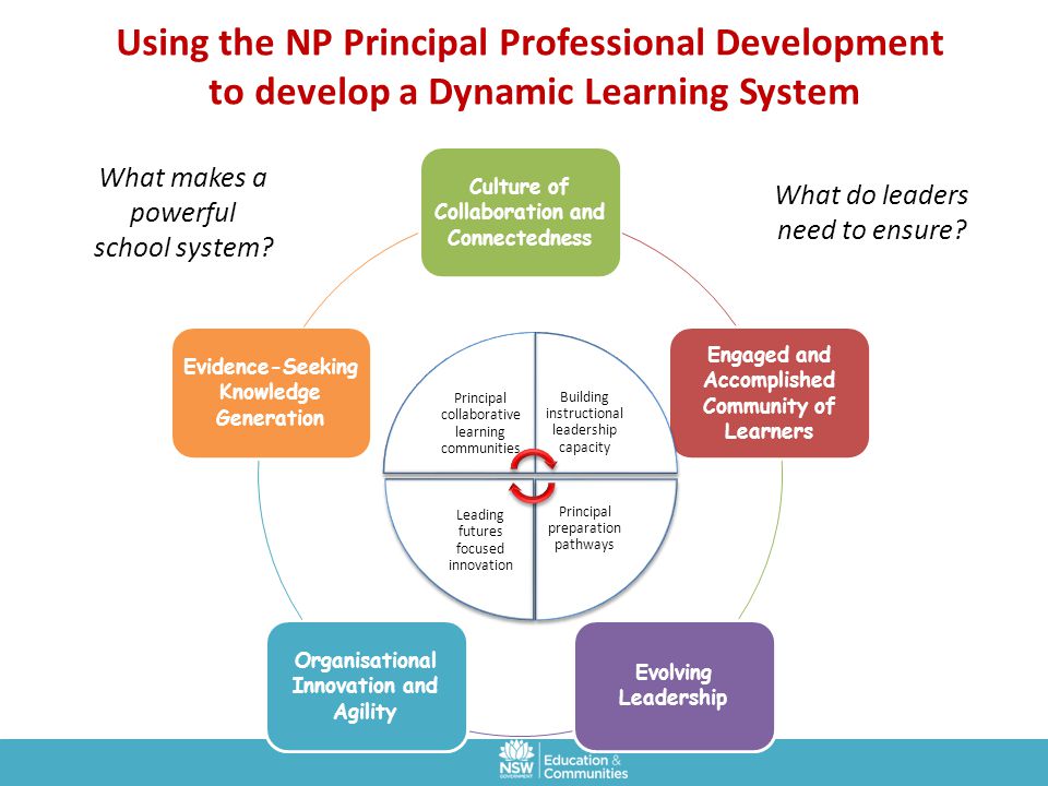 Using the NP Principal Professional Development to develop a Dynamic Learning System