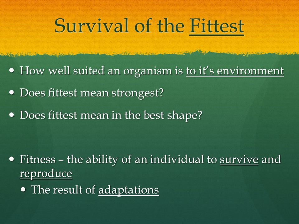 Survival of the fittest Definition and Examples - Biology Online Dictionary
