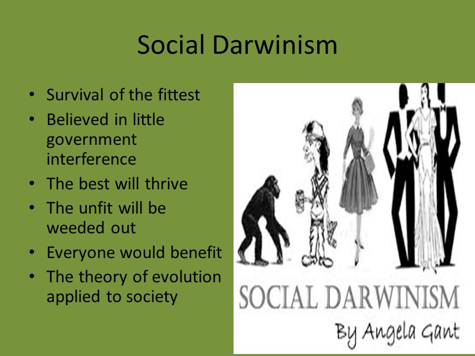 social darwinism survival of the fittest