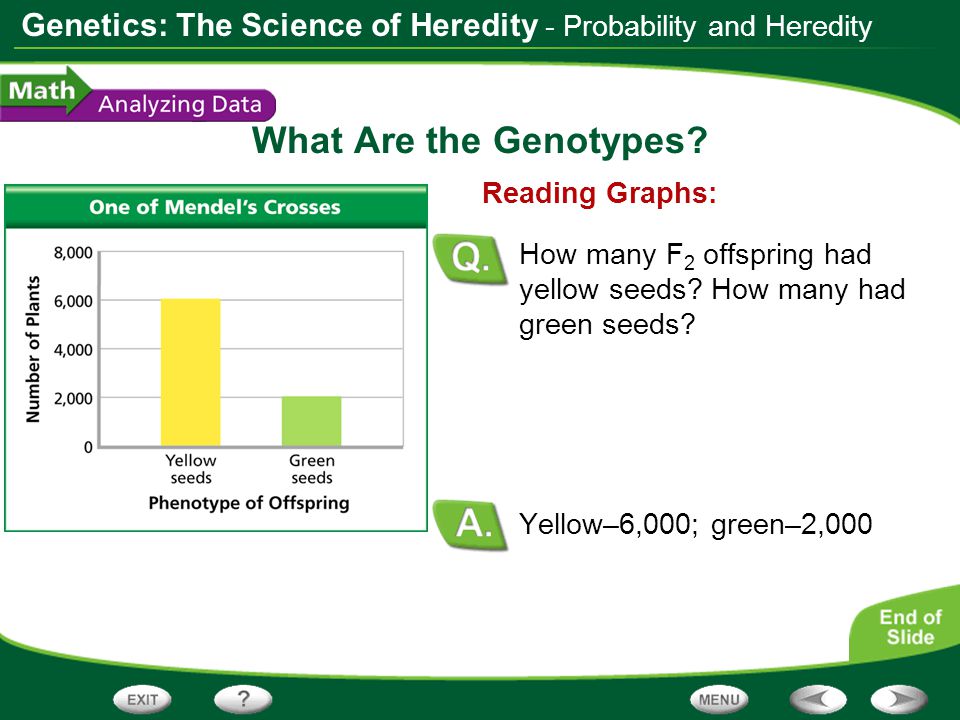 What Are the Genotypes - Probability and Heredity Reading Graphs: