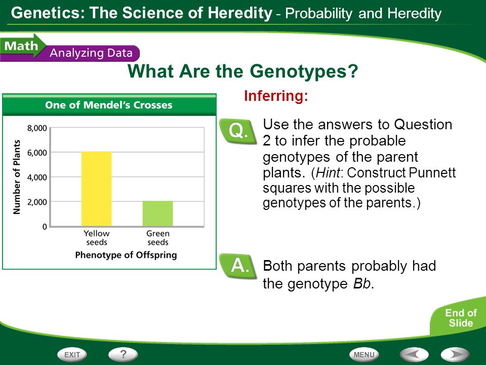 What Are the Genotypes - Probability and Heredity Inferring: