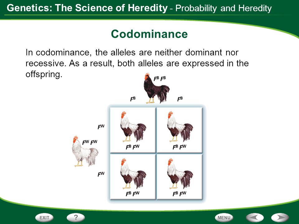Codominance - Probability and Heredity