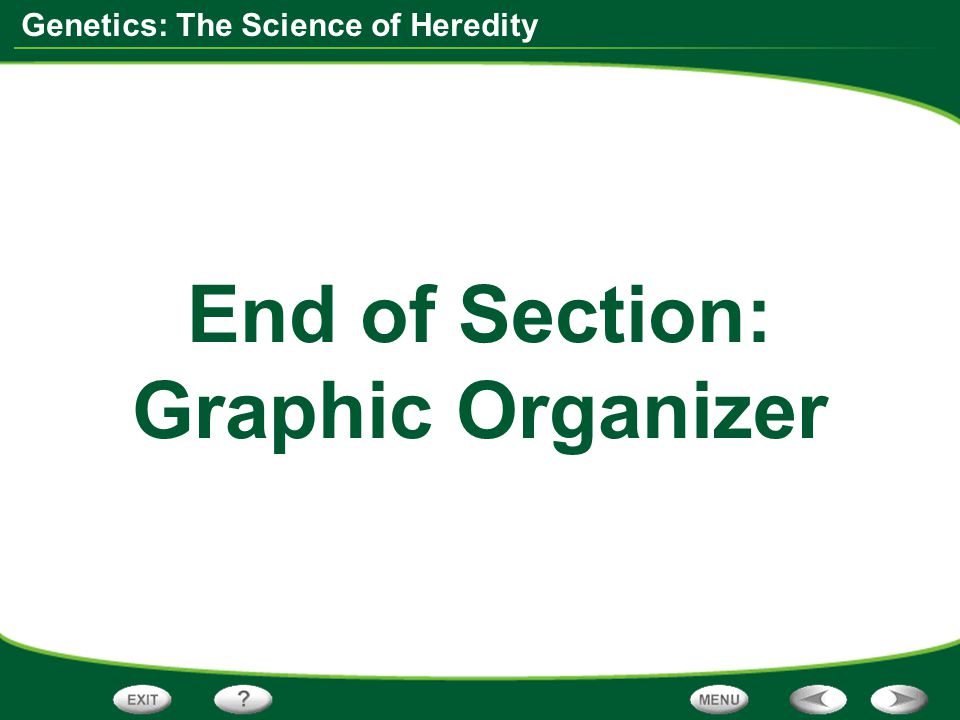 End of Section: Graphic Organizer