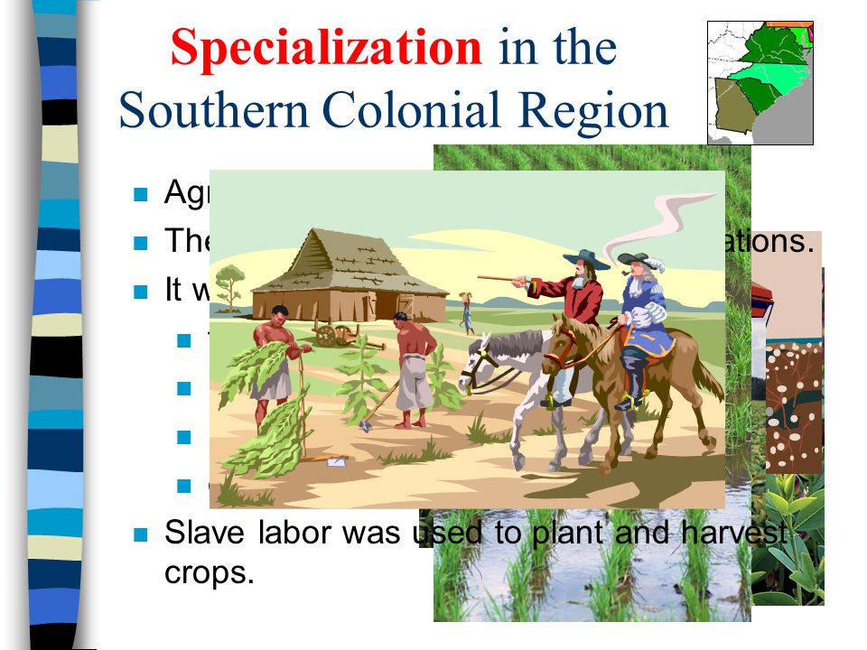 Specialization in the Southern Colonial Region