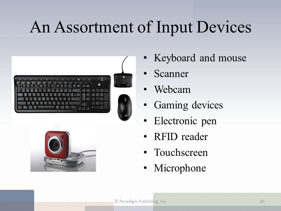 An Assortment of Input Devices