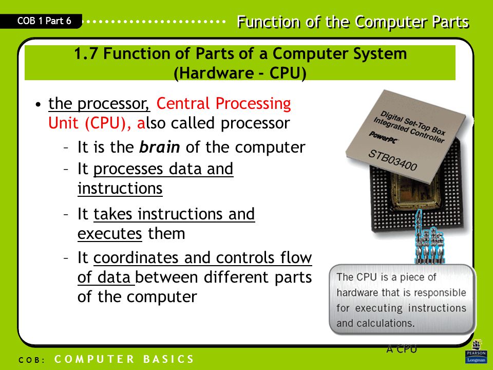 1.7 Function of Parts of a Computer System (Hardware - CPU)