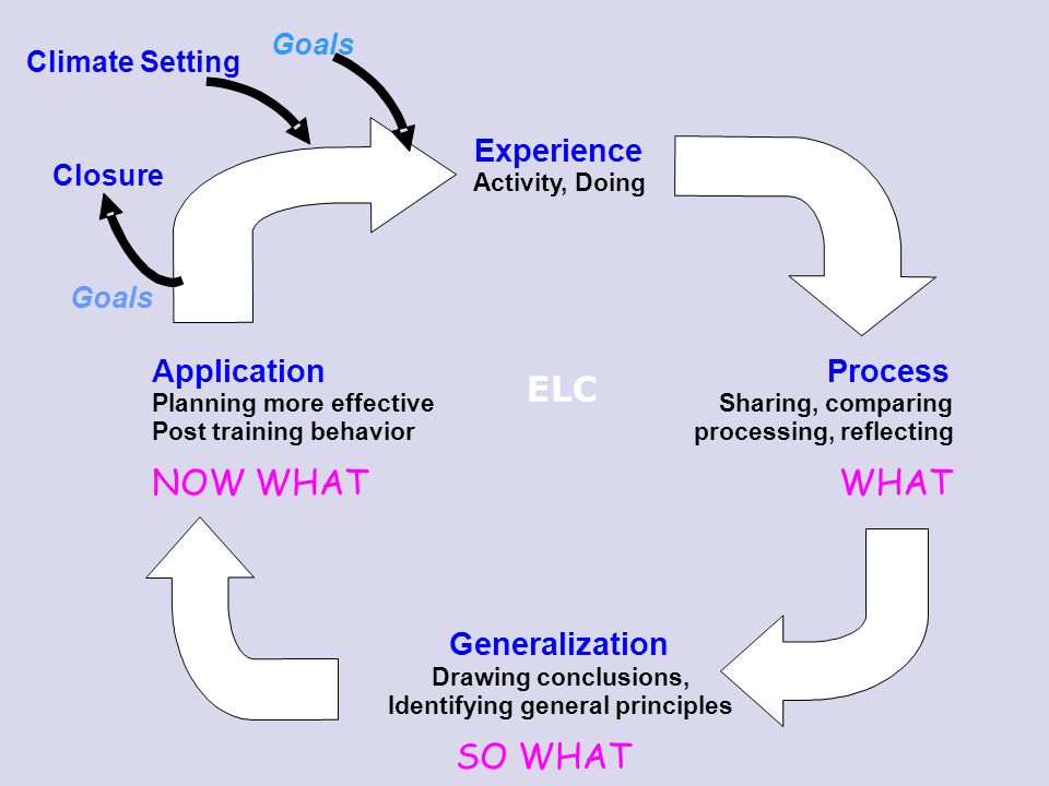 ELC NOW WHAT WHAT SO WHAT Experience Application Process