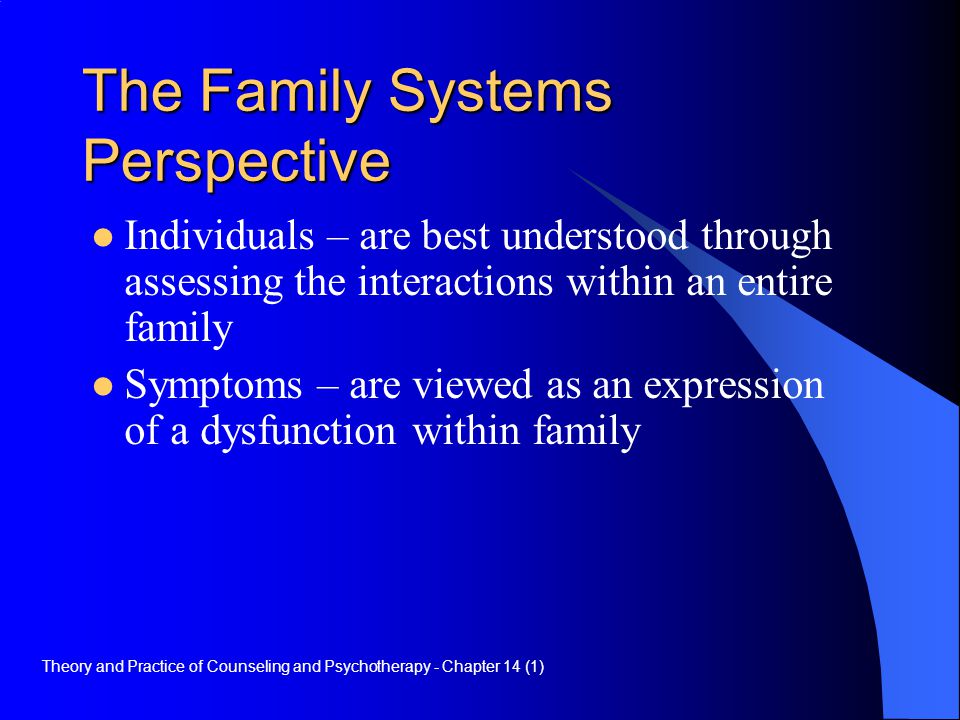 family systems perspective