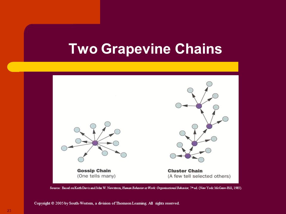Two Grapevine Chains