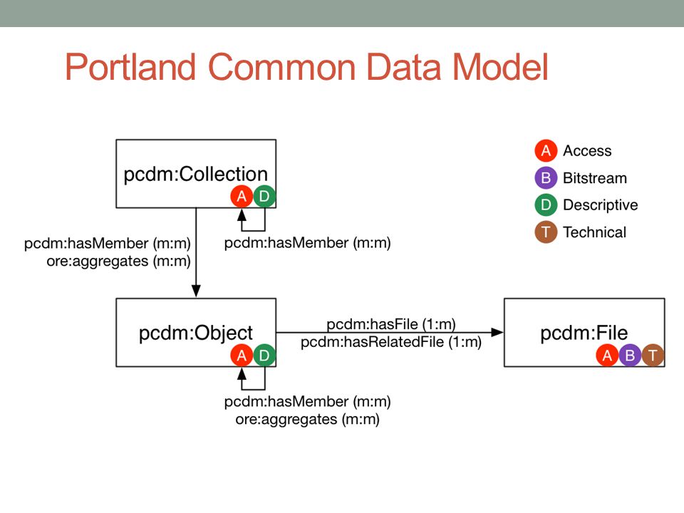 Portland Common Data Model