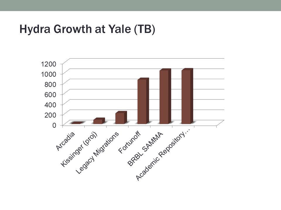 Hydra Growth at Yale (TB)
