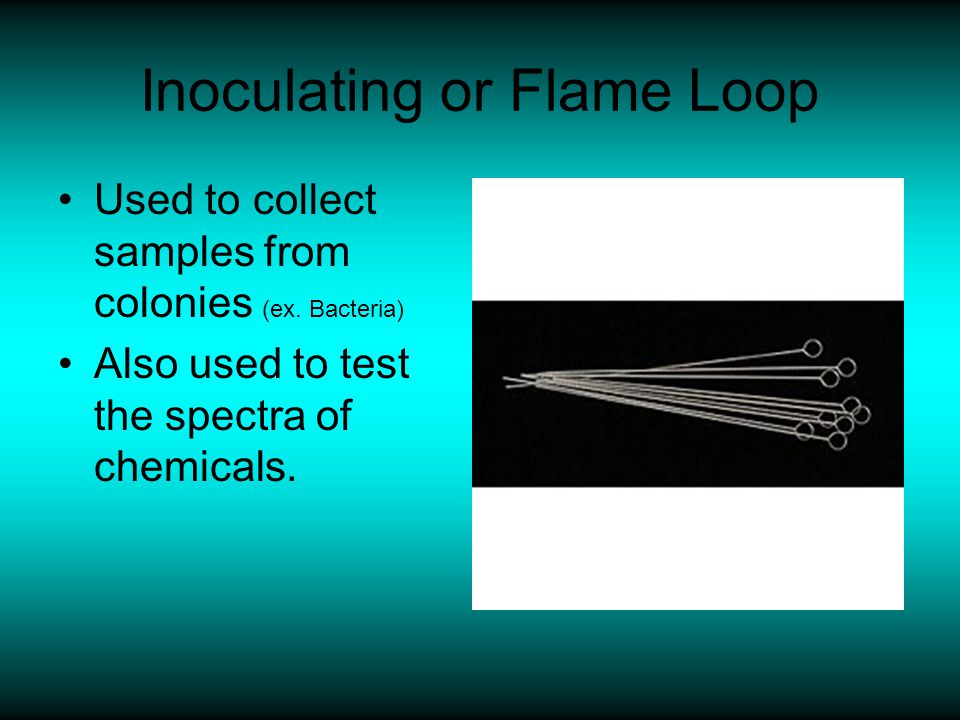 Inoculating or Flame Loop