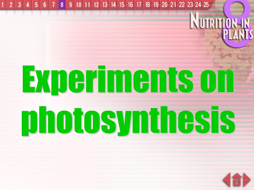 Experiments on photosynthesis
