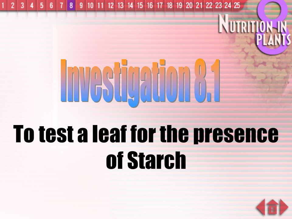 To test a leaf for the presence of Starch