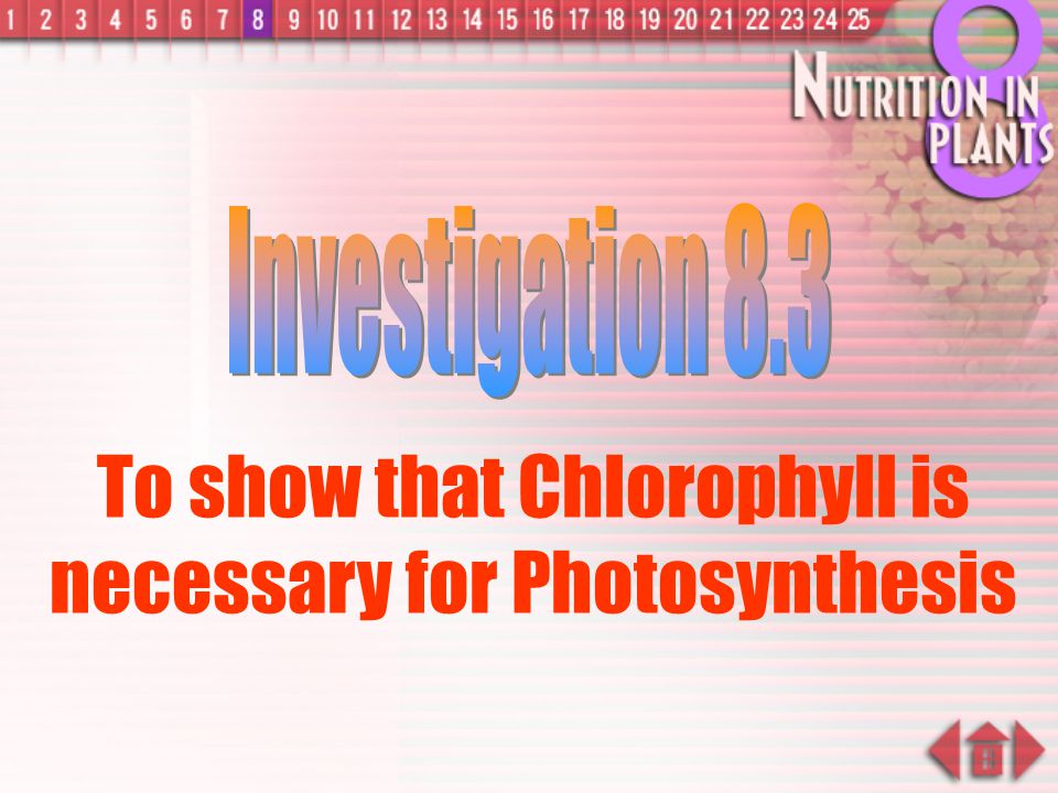 To show that Chlorophyll is necessary for Photosynthesis