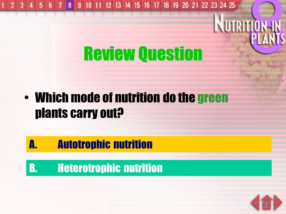 Review Question Which mode of nutrition do the green plants carry out