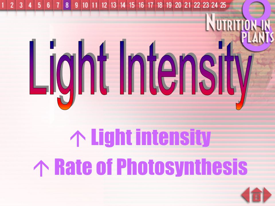  Rate of Photosynthesis