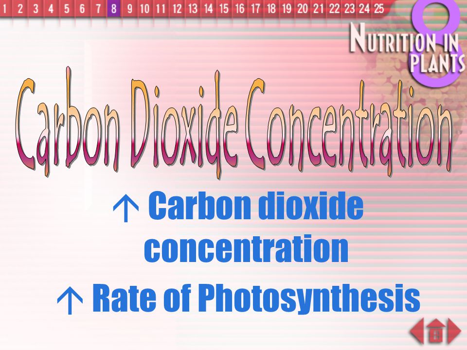 Carbon Dioxide Concentration