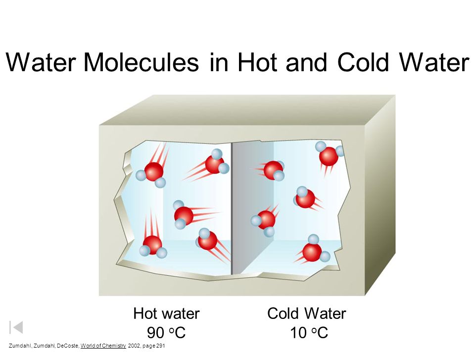 Water Molecules in Hot and Cold Water