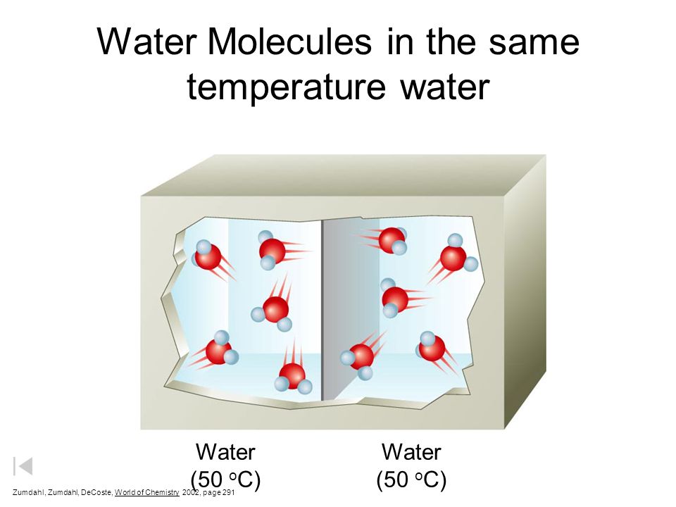 Water Molecules in the same temperature water
