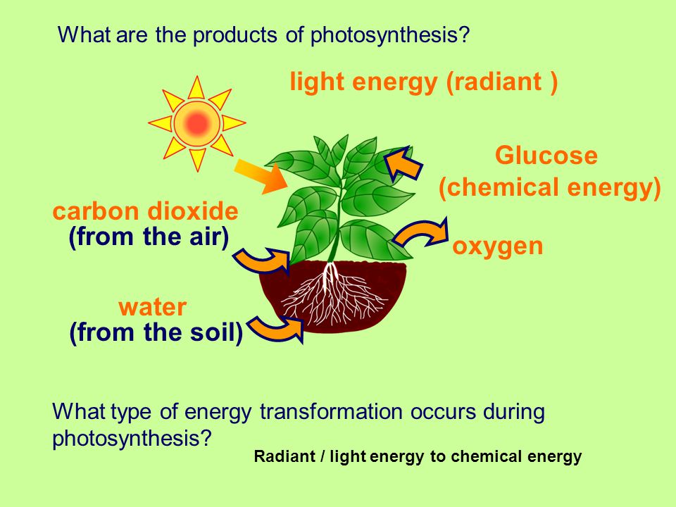 light energy (radiant )