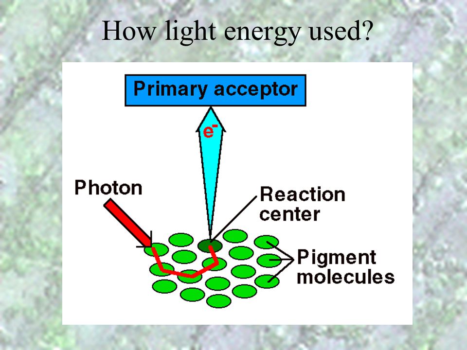 How light energy used