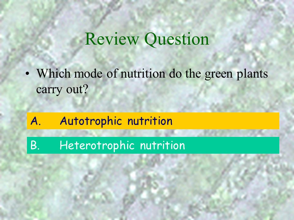 Review Question Which mode of nutrition do the green plants carry out