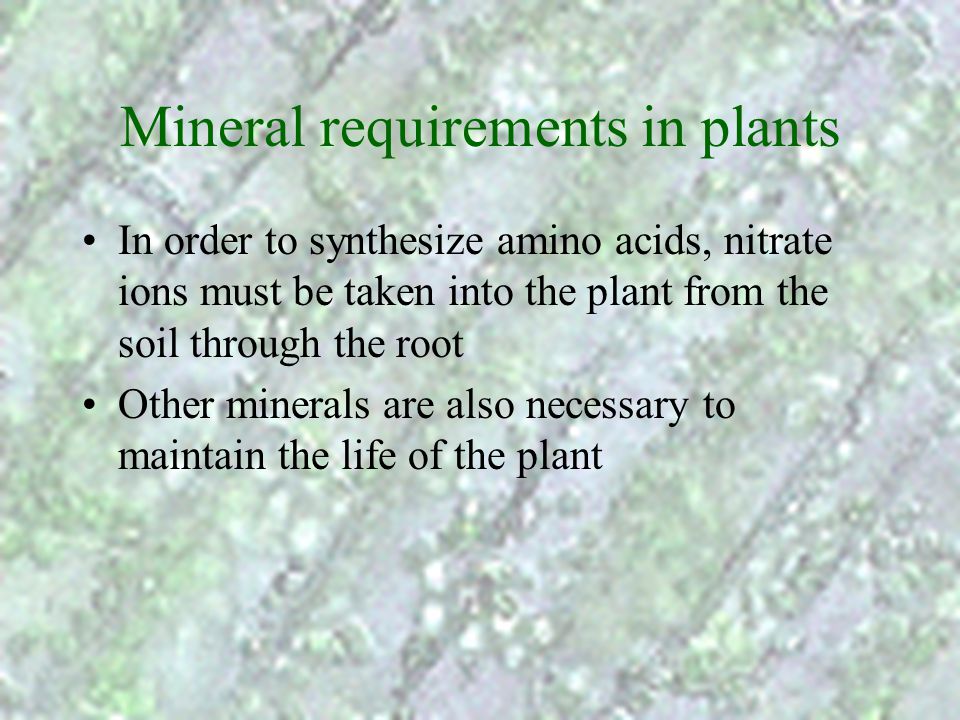 Mineral requirements in plants