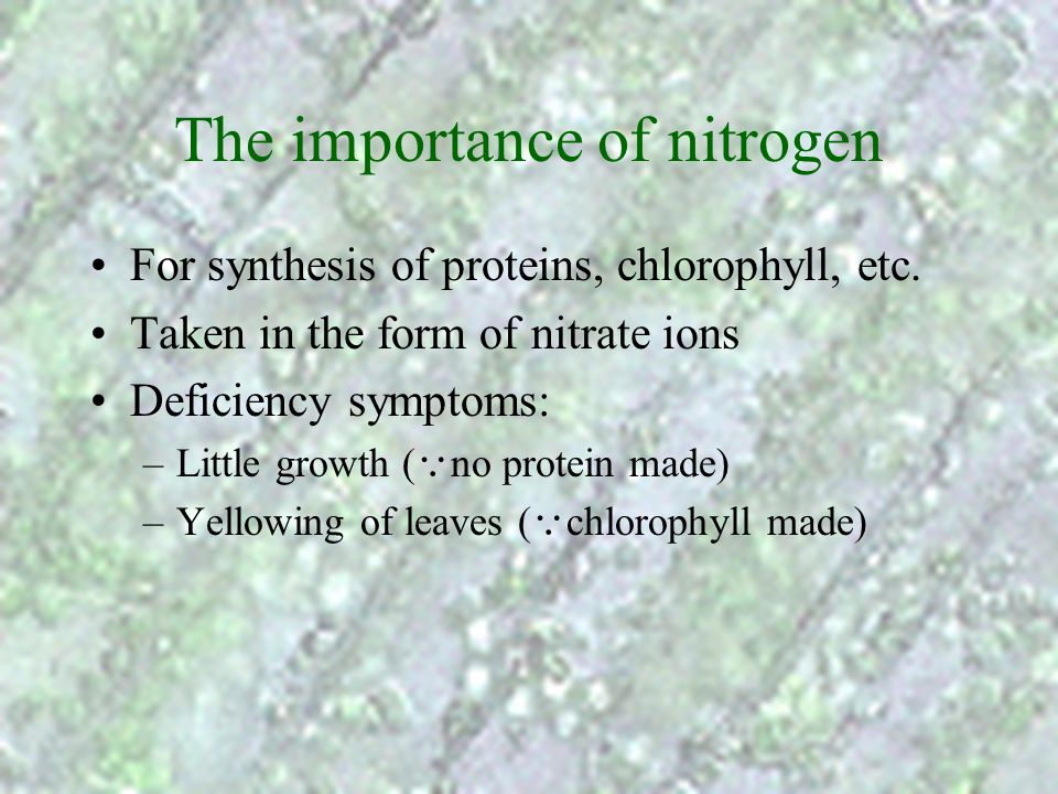 The importance of nitrogen
