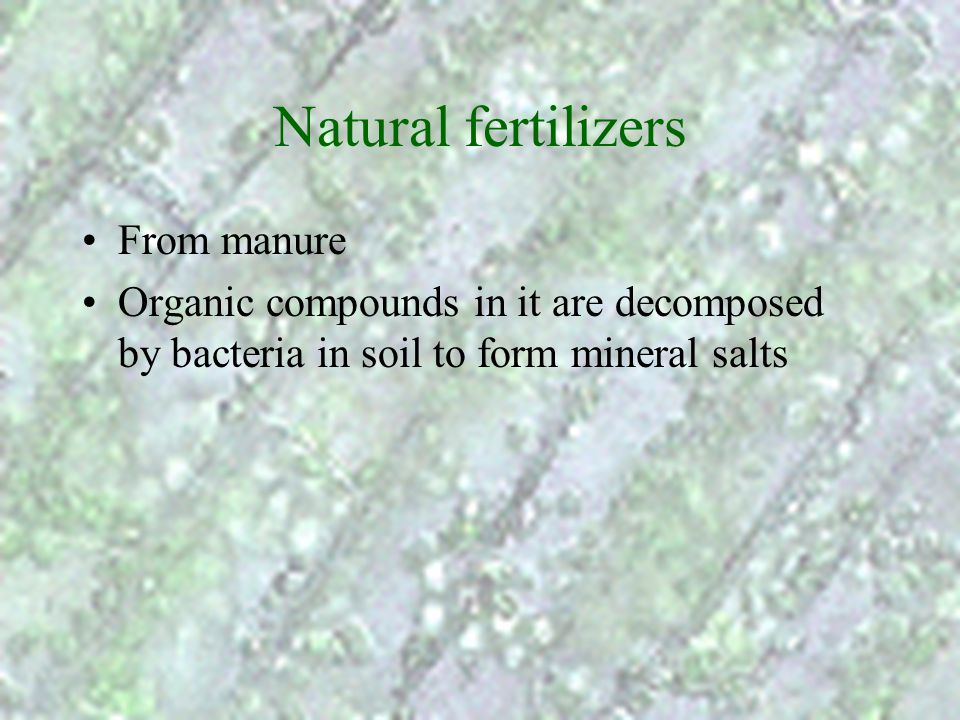 Natural fertilizers From manure