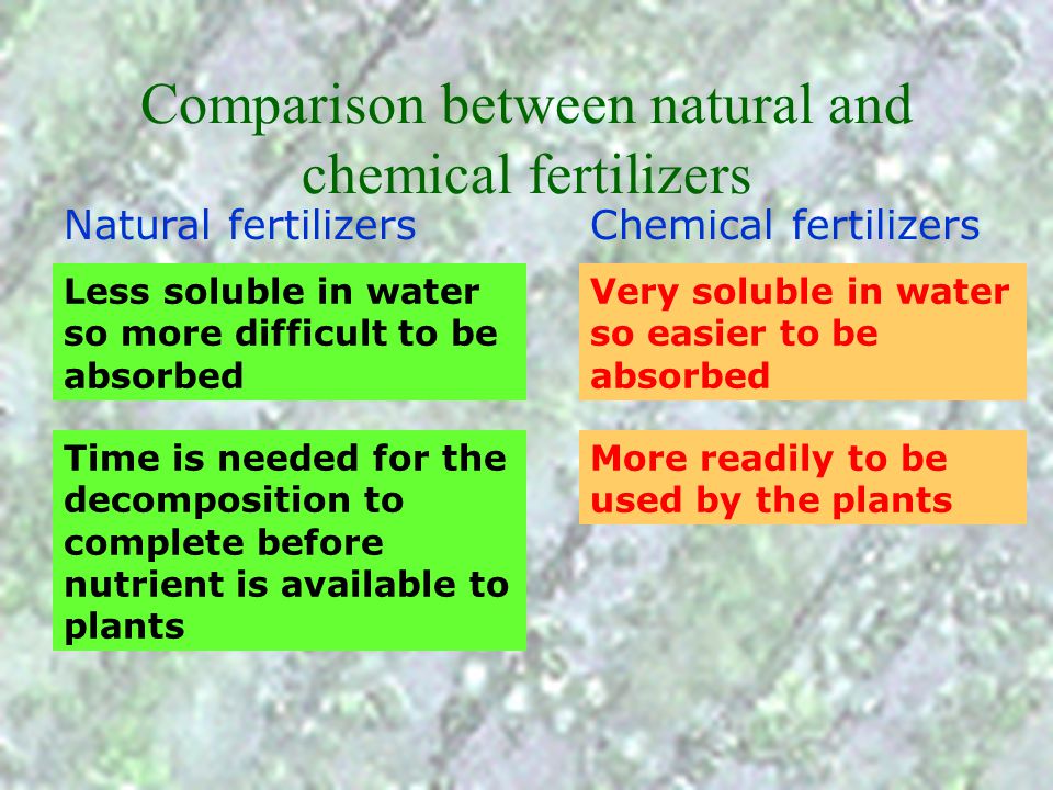 Comparison between natural and chemical fertilizers