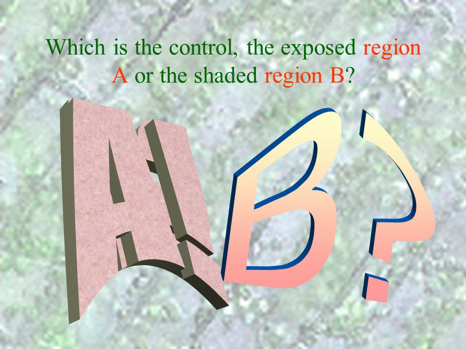 Which is the control, the exposed region A or the shaded region B