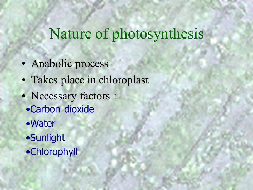 Nature of photosynthesis