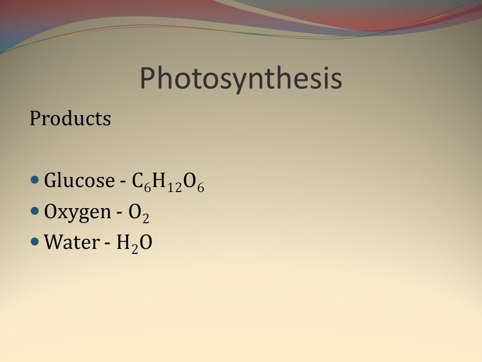 Photosynthesis Products Glucose - C6H12O6 Oxygen - O2 Water - H2O
