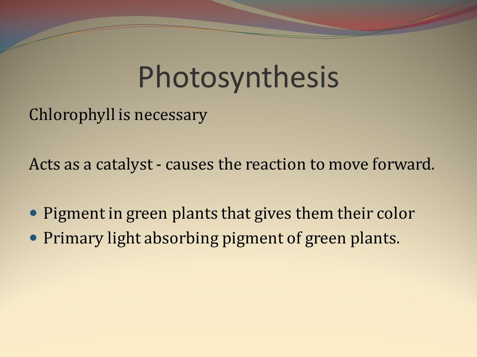 Photosynthesis Chlorophyll is necessary