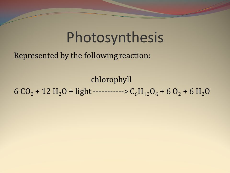 Photosynthesis Represented by the following reaction: chlorophyll 6 CO H2O + light > C6H12O6 + 6 O2 + 6 H2O