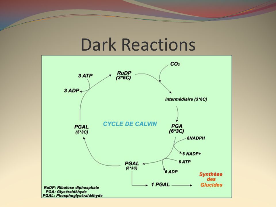 Dark Reactions