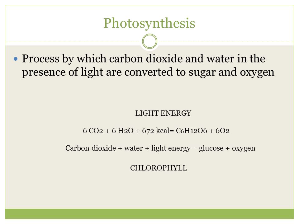 Photosynthesis Process by which carbon dioxide and water in the presence of light are converted to sugar and oxygen.
