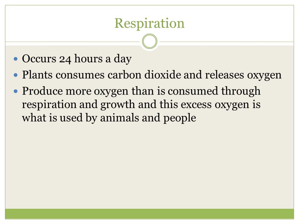 Respiration Occurs 24 hours a day