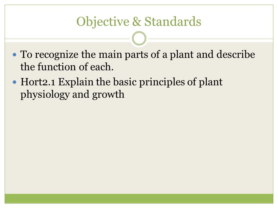 Objective & Standards To recognize the main parts of a plant and describe the function of each.