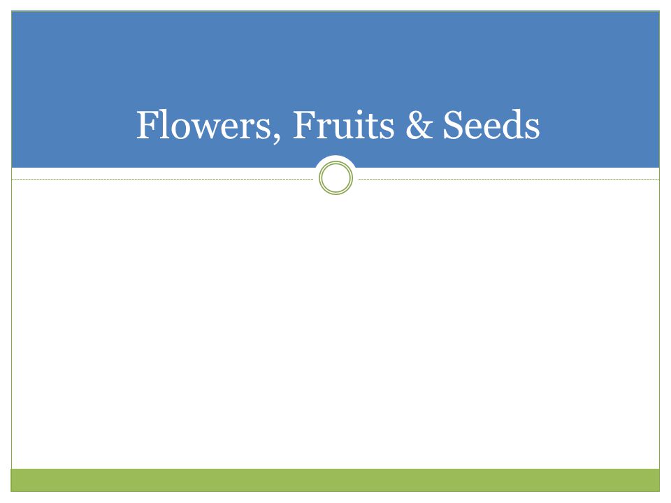 Flowers, Fruits & Seeds